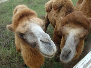 posando para la foto